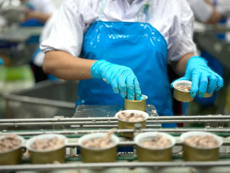 Potravinářská výroba